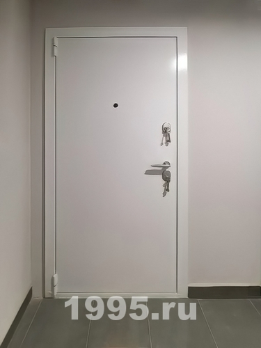 Белая порошковая дверь