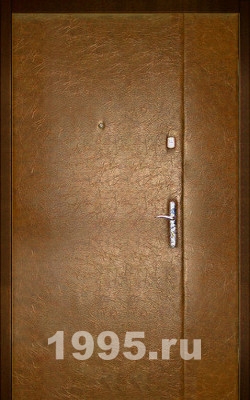 Металлические двустворчатые двери в коттедж