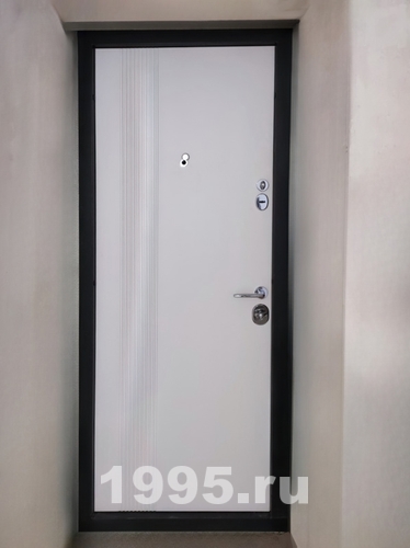 Квартирная дверь, фото изнутри