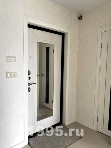 Квартирная дверь с МДФ и зеркалом