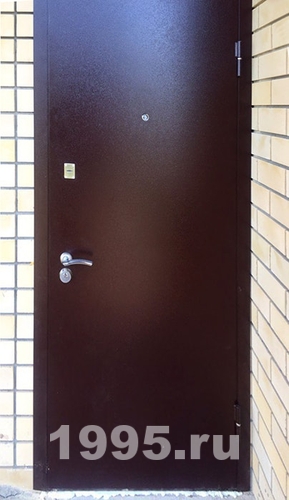 Однопольная порошковая дверь