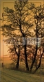 
                                                    
                                                        Фотопанель Осеннее дерево
                                                    