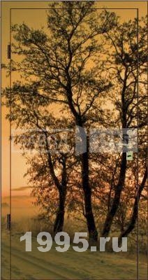 Фотопанель Осеннее дерево