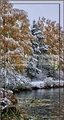 
                                                    
                                                        Фотопанель Зимний пейзаж
                                                    