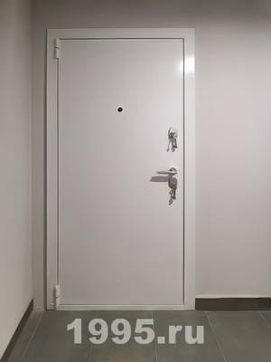 Белая порошковая дверь