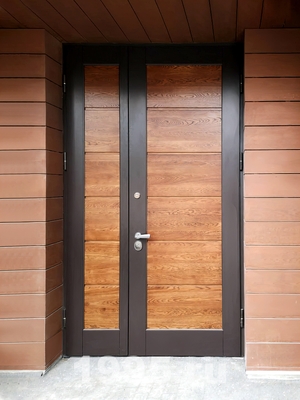 Дверь МДФ окрас RAL с поперечными шпонированными вставками