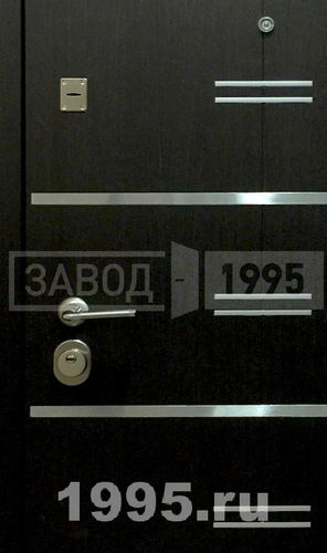 Дверь с МДФ с молдингом №30