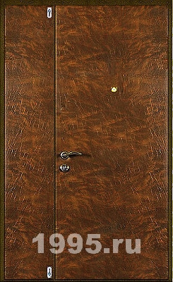 Двустворчатая дверь с порошковым напылением с ковкой и винилискожей №3
