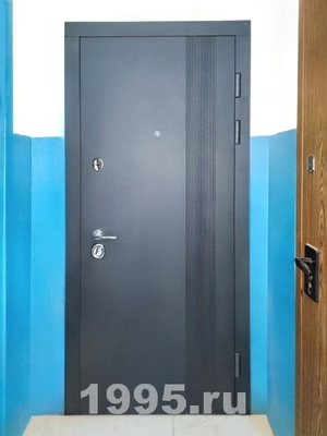 Квартирная дверь, фото спереди