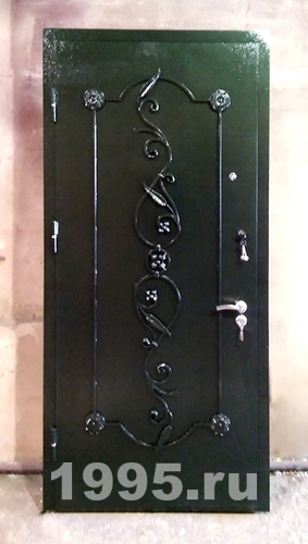 Порошковая дверь с коваными элементами