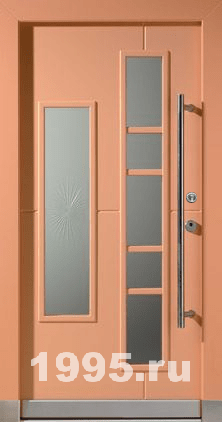 Остекленные входные двери в дом