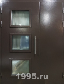 Металлическая тамбурная дверь с порошковым напылением и стеклопакетами