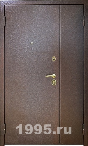 Металлическая тамбурная дверь с порошковым напылением